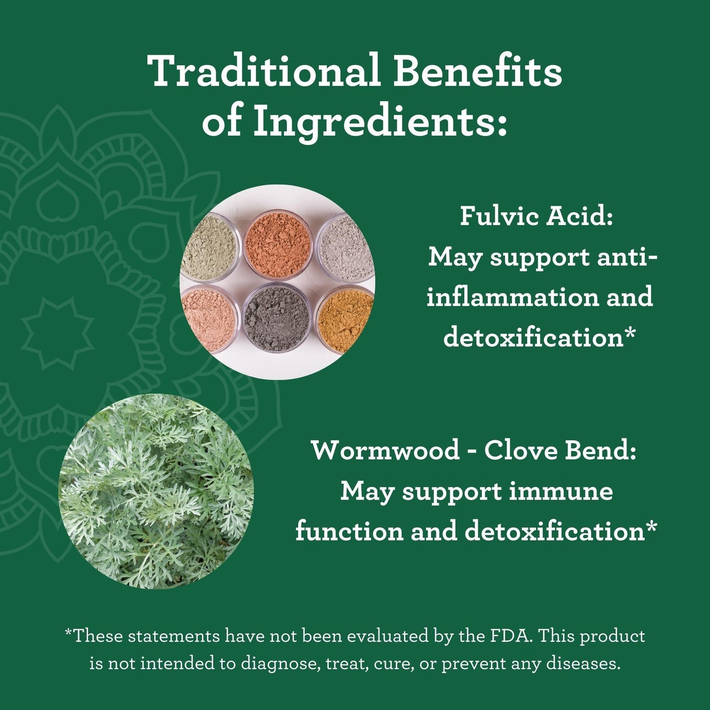 GuruNanda Gutcleanse – 2-Step Detox with Wormwood, Clove & Fulvic Acid